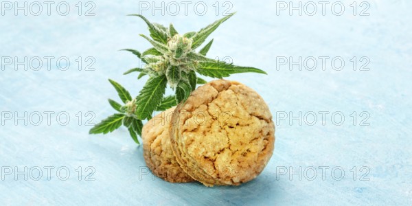 Cannabis butter cookies panorama, with marijuana buds, homemade healthy biscuits on a blue