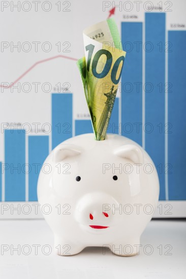 Front view piggy bank growth chart