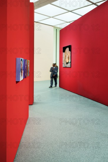 Exhibition "Feelings", Pinakothek der Moderne, Munich, Upper Bavaria, Bavaria, Germany, Europe