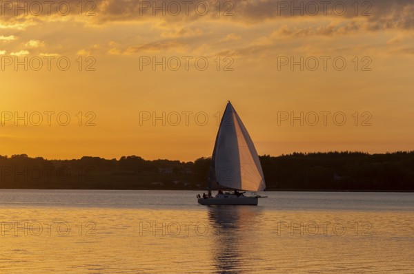 Evening mood, sunset with sailboat on the Flensburg Fjord, view to the Danish coast, Glücksburg,