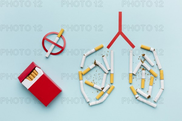 Lungs shape with cigarettes concept
