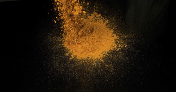 Turmeric (curcuma longa), Powder Exploding against Black Background, Indian Spice