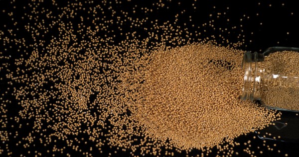 Mustard Seeds Falling on Black Background, Crockery