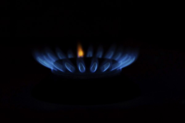 Blue gas flame on a hob, gas cooker, close up