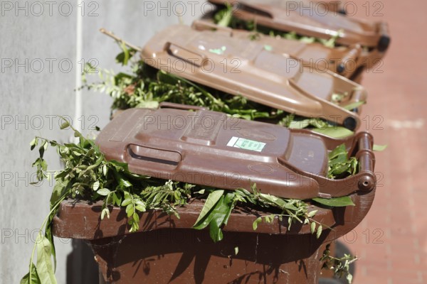 Organic bins, waste bins, Germany, Europe