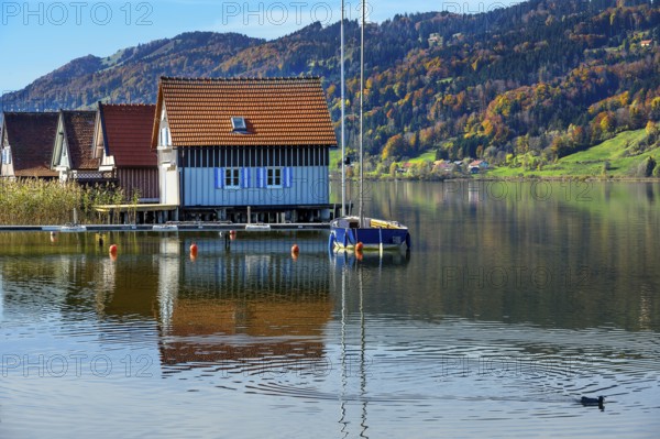 Boathouses on the large Alpsee lake near Bühl, Immenstadt Im Allgäu, Upper Allgäu, Bavaria,