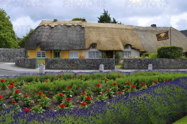 Country house, thatched house