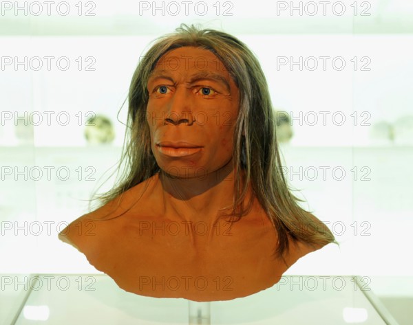 Modell, subject, mockup, Neandertal, Natural History Museum of Basel, Basel, Switzerland (Homo