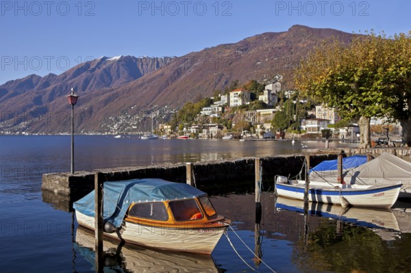 Monte Verita and Moscia, old harbour, Ascona, Lake Maggiore, Ticino, Lake Maggiore, Switzerland,