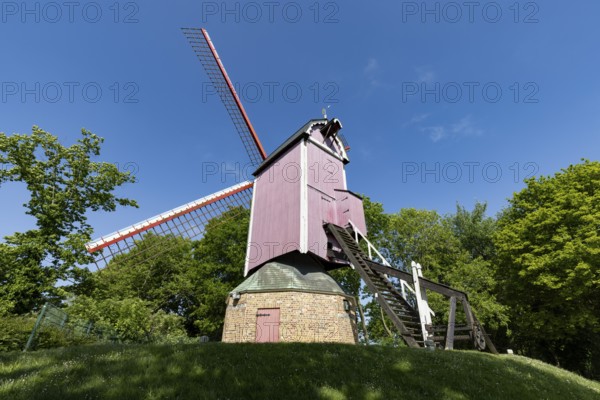 Windmolen De Nieuwe Papegaai, New Parrot Windmill, Ghent-Brugge Canal, Brugge, Belgium, Europe