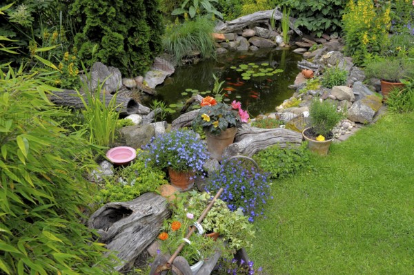 Ornamental garden, garden pond with goldfish