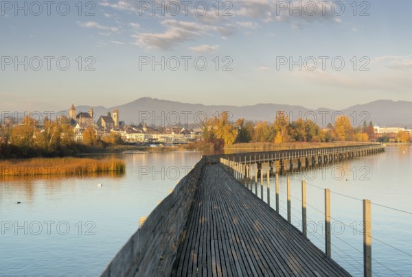Landscape view of marsh and lake shore with the town of Rapperswil in evening light and a long
