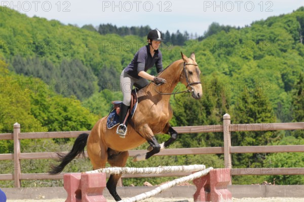 Rider with Achal-Tekkiner, Stallion, Riding, Jump, Obstacle, dun, Riding track