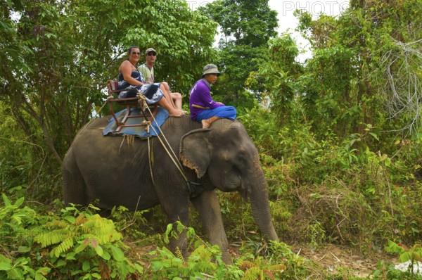 Elephant Riding, Rawai, Phuket Island, Thailand, Asia