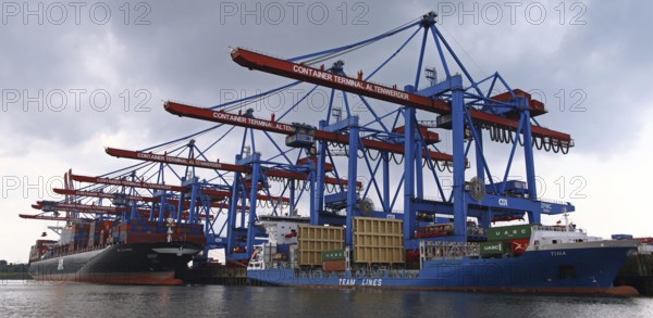 APL Le Havre and Tina at Container Terminal Altenwerder in the Port of Hamburg, ships APL Le Havre