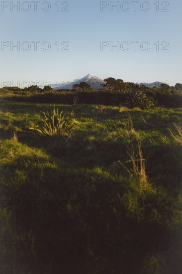A green hilly landscape under a clear blue sky with a mountain peak in the background creating a
