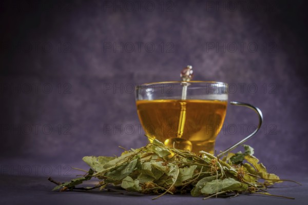Glass cup with an infusion of lime blossom tea with fresh leaves around it