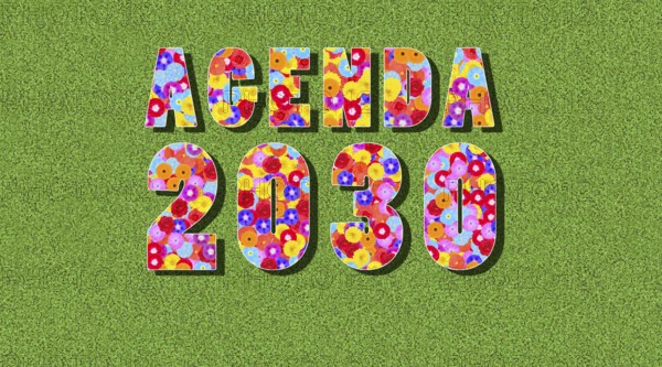 Graphic, text, number, year, inscription with Agenda 2030 with many colourful flowers, butterflies,