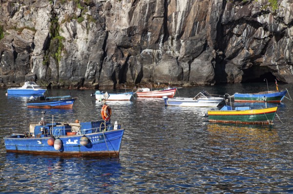 Câmara de Lobos, colorful fishing boats in the harbour, old fishing village, south coast, Madeira,