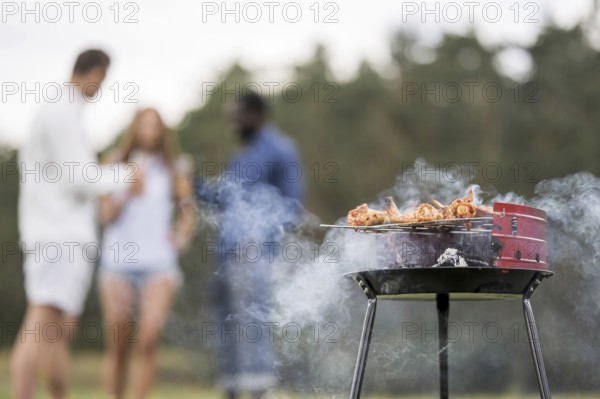 Barbecue roasting food with friends conversing. Resolution and high quality beautiful photo