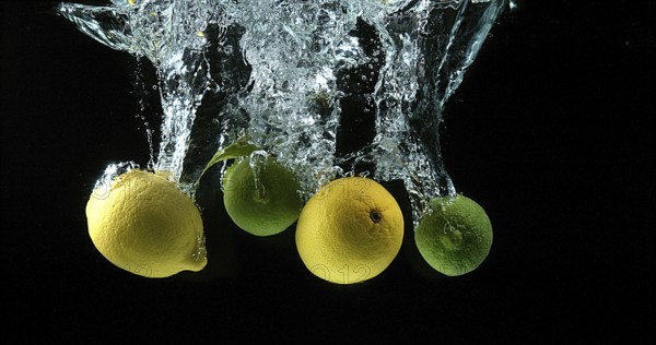 Yellow and Green Citrus, citrus limonum (Citrus aurantifolia), Fruits falling into Water against