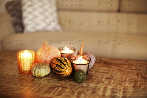 Rustic style wooden coffee table in living room interior background, embellished with small