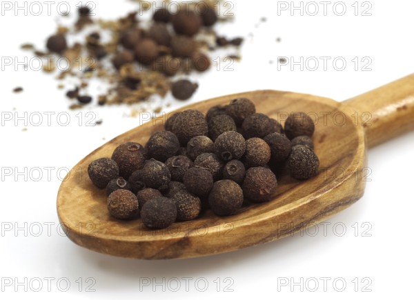 Allspice, Clove Pepper, Jamaica Pepper (Pimenta officinalis), Myrtle family, Jamaica Pepper,