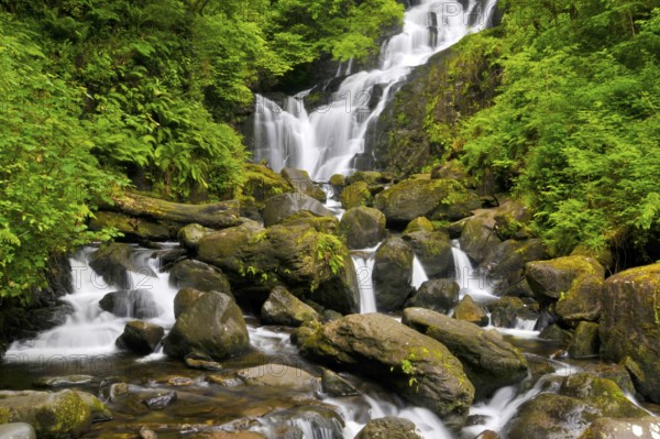 Torc Waterfall, Killarney National Park, Killarney, County Kerry, Ireland, Europe