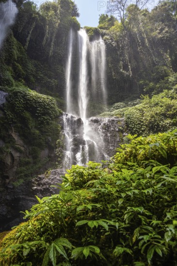 The Sekumpul waterfall, a large waterfall in the middle of the jungle that plunges into a deep