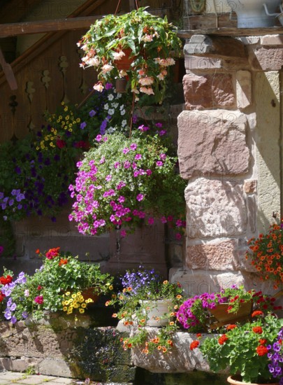 Poppeltal, Enzklösterle, Black Forest, Poppelhof, hanging baskets