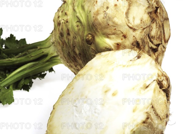 Root celery (apium graveolens), celeriac, umbelliferae, CELERIAC against white background