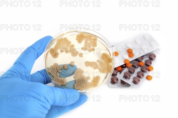 Fungi on agar plate and antibiotics pills over white