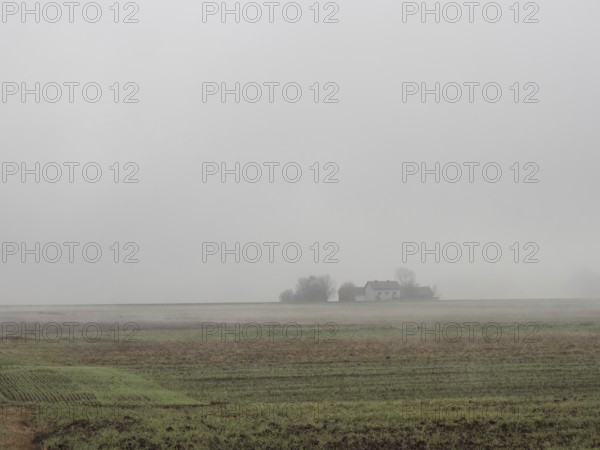 Lonely homestead in the morning mist, Zelting near Bad Radkersburg, Styria, Austria, Europe