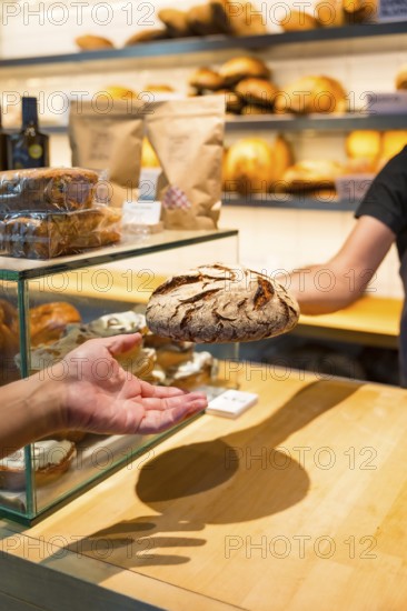 Hands of customer in the bakery shop buying an artisan bread from the baker in the workshop,