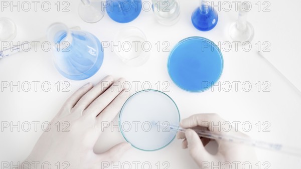 Close up hands with pipette petri dish. Beautiful photo