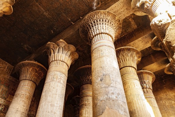 Beautiful decoration at the columns of the Temple of Khnum (the Ram Headed Egyptian God) in Esna,