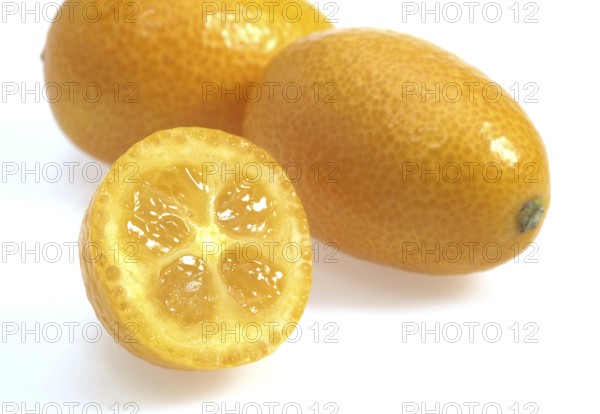 Kumquat (fortunella margarita), Fruit against White Background