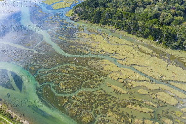 Aerial view of the estuary La Ria at high tide, Le Conquet, department of Finistere Pen ar Bed,
