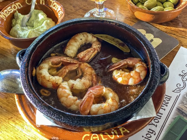 Fried prawns in oil with garlic, tomatoes, Mallorca, Spain, Europe