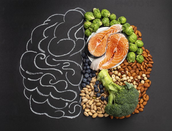 Chalk hand drawn brain with assorted food, food for brain health and good memory: fresh salmon