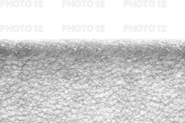 A white extruded polyethylene foam tube isolated on white background