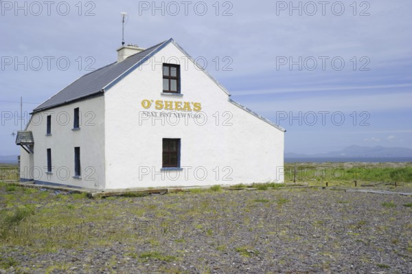 Pub O'Sheas 'Next Pint New York', Valentia, Ring of Valentia, County Kerry, Last Guinness in front