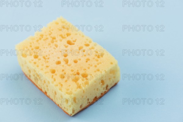 Sponge. High resolution photo