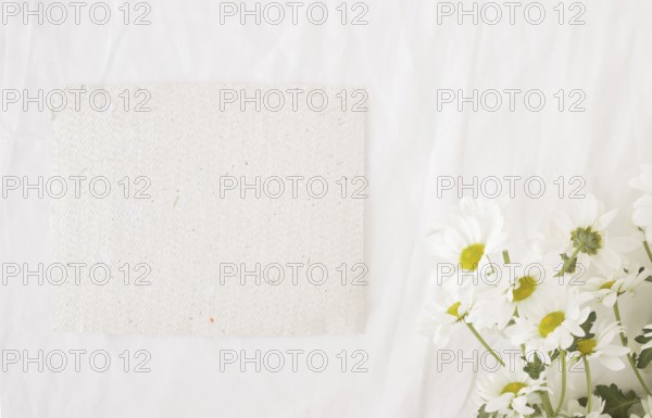 Bunch beautiful flowers green stems near recycled paper