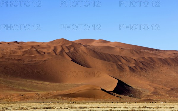 Namib-Naukluft Park, Sossusvlei Dunes, Namibia, Africa