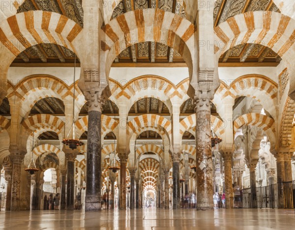The Mosque-Cathedral of Cordoba is the most significant monument in the whole of the western Moslem