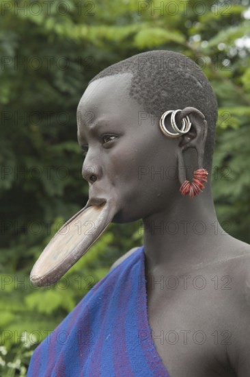 Surma woman with lip plate, Surma people, Tulgit, Omo Valley, Ethiopia, Africa