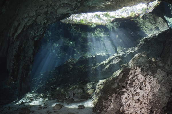 Gran Cenote underwater cave, Yucatan Peninsula, underwater cave, Mexico, Central America