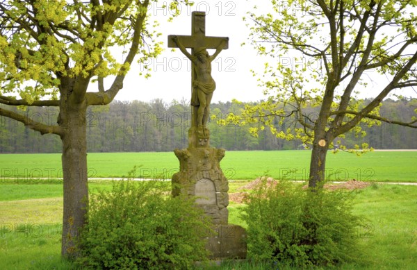 In spring, Crucifix between two trees, Crucifix between trees