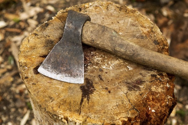 Close up wood chopping axe. Beautiful photo
